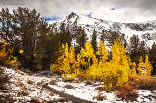 Mt. Olson above Virginia Lake-8859 Mt. Olson above Virginia Lake-8859